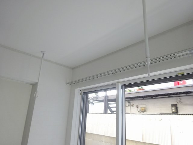 パルム(PALM) のその他