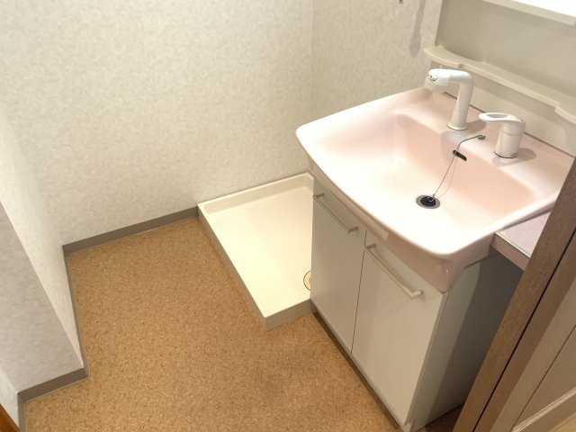 EXESSの洗面所