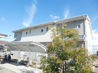 チェリードーレの画像