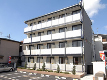 グレイスⅢの画像