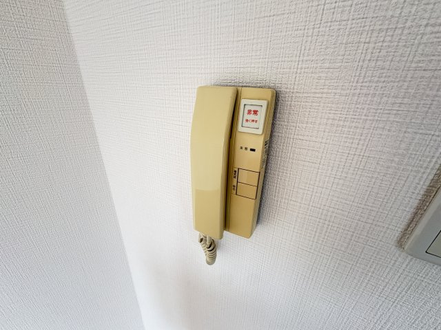 Amyのその他
