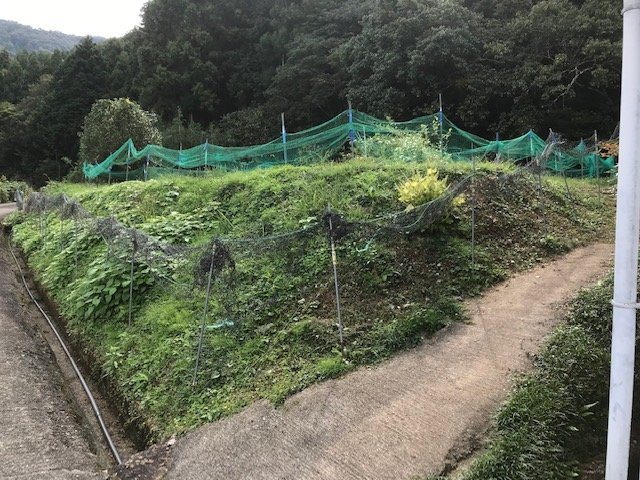 海南市次ヶ谷・土地・56282の外観
