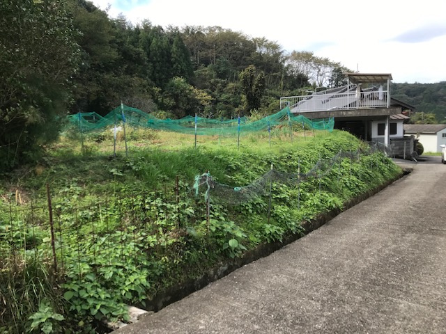 海南市次ヶ谷・土地・56282の外観