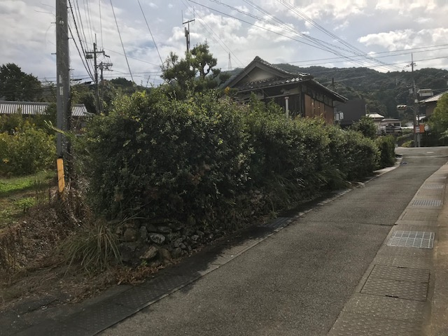 海南市次ヶ谷・土地・56281の前面道路含む現地写真