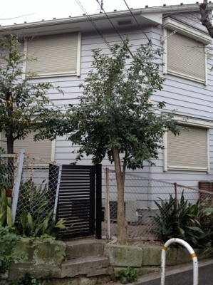 【外観】 | 上原2丁目賃貸住宅 | 上原2丁目賃貸住宅 