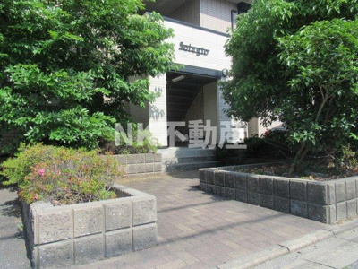 【エントランス】 | メゾンニュー池島（東花園賃貸） | エントランスです