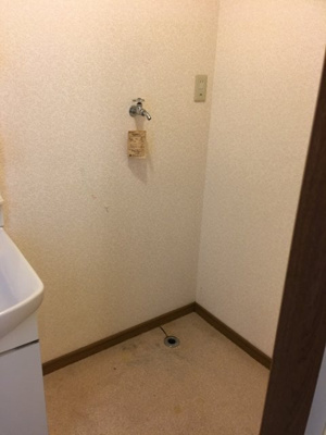 【洗面所】 | ハイム岩崎Ⅱ | 室内洗濯機置場