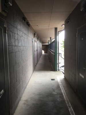 【その他共用部分】 | ハイム岩崎Ⅱ | 廊下