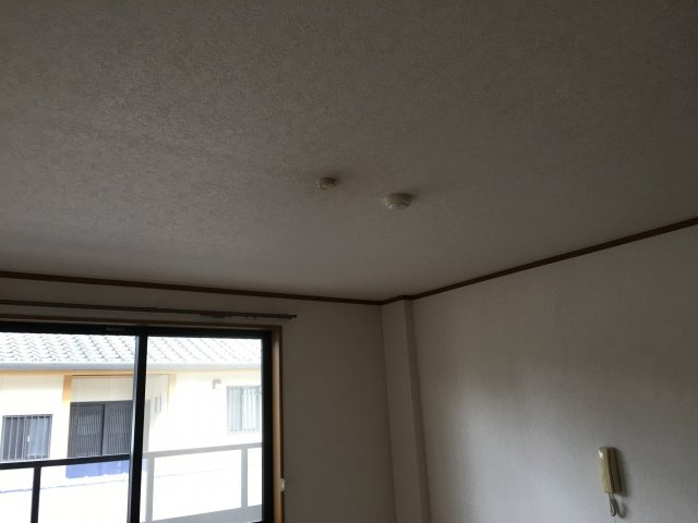 ハイム岩崎Ⅱのセキュリティ