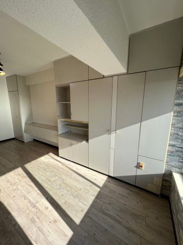 ニューステイトメナーの内装|収納豊富