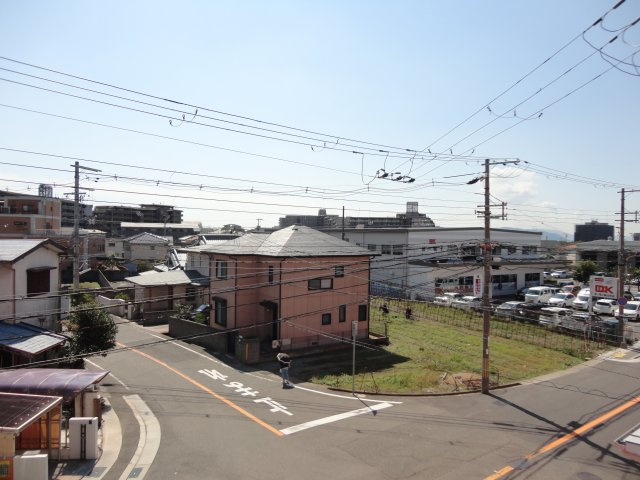 ステューデントビラウィングの展望