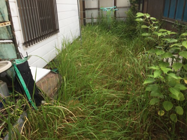 夜臼3丁目 土地（古家付）の外観