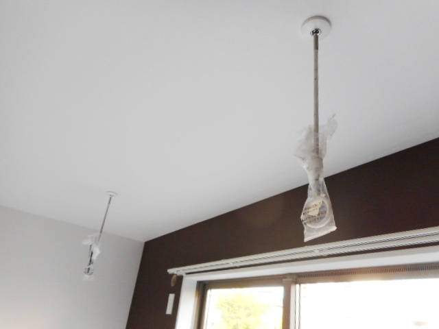 【その他】 | ラフェリエ