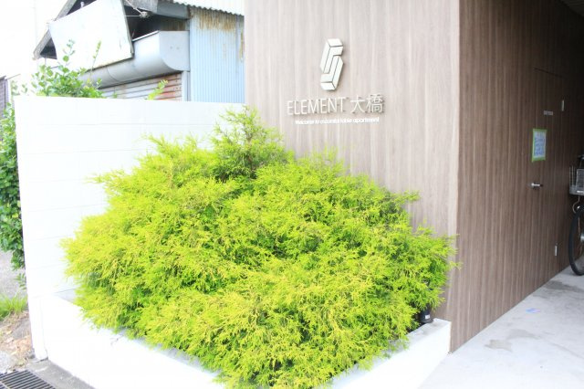エレメント大橋