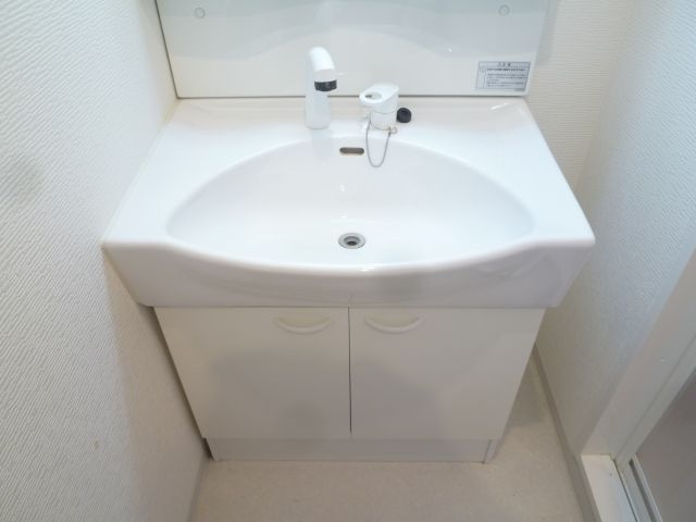 グランパシフィック難波西の洗面所
