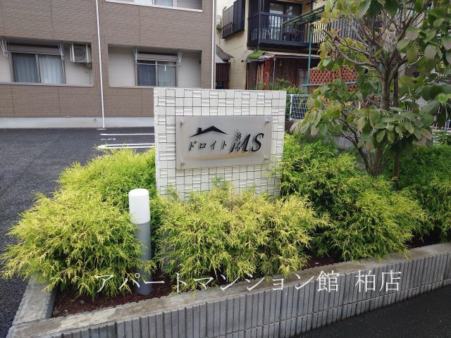 ドロイトMSのエントランス