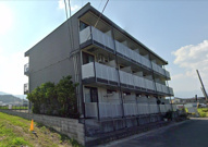 ペルーラ春風の画像