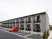 タンポポの画像