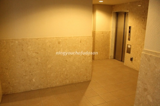 【その他共用部分】 | Daisy Court　（デイジーコート） 