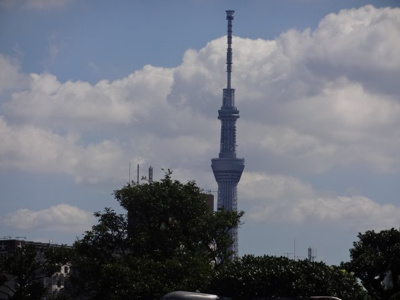 【展望】 | サンライン上野桜木 | サンライン上野桜木　ベランダからはスカイツリーが眺望できます！