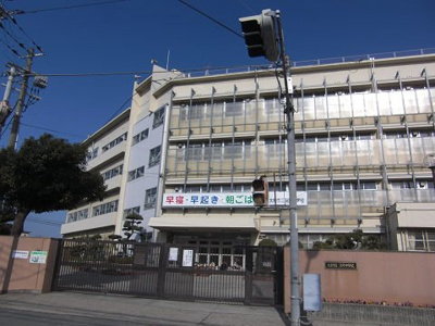  | ベルヴェデール大東