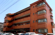ビワハイツナカネの画像