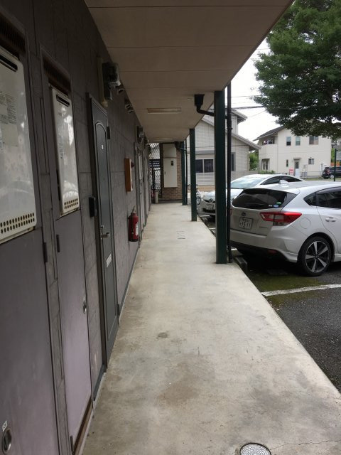 ハイム岩崎Ⅱ（学生応援フェア）のその他共用部分|廊下