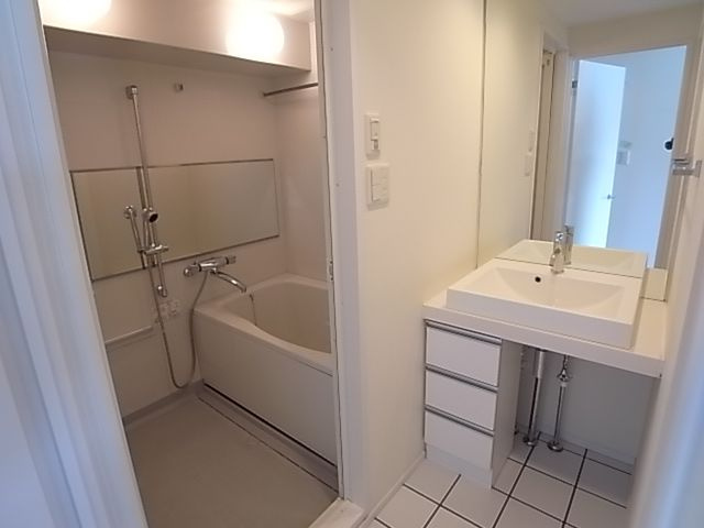 ナビールコート薬院の洗面所