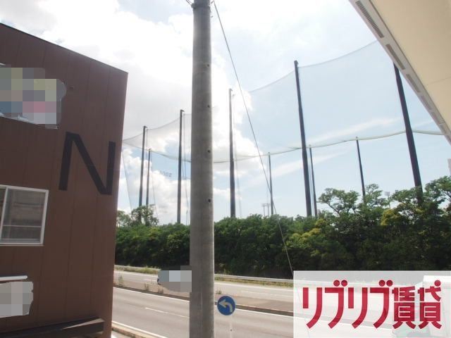 リブリ・サンフラワー14の展望