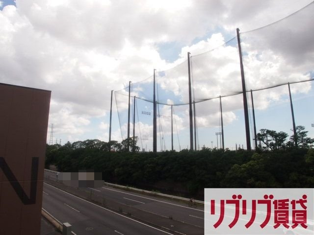 リブリ・サンフラワー14の展望