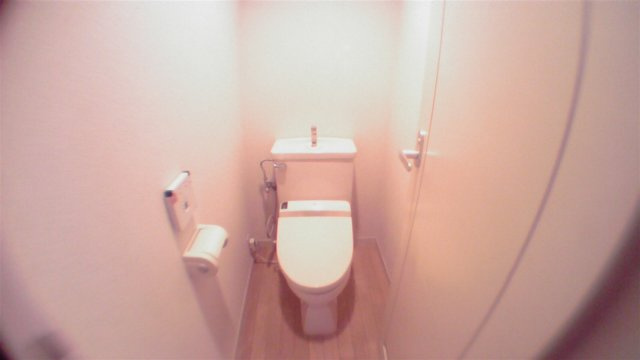 港区港南４丁目の賃貸マンションのその他|トイレ