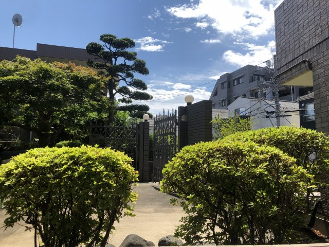 パラティーノ日吉の展望