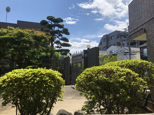 パラティーノ日吉の周辺