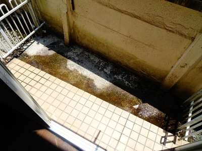 【バルコニー】 | コーポグリーン