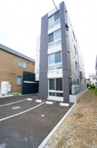 Orquidea（オルキデア）曙の画像