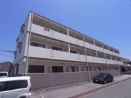 エランドールの画像