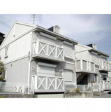 サンセットローズ Aの画像