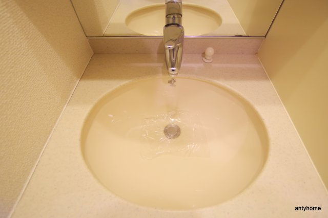 エステムコート梅田東アクアパレス　仲介手数料無料の洗面所
