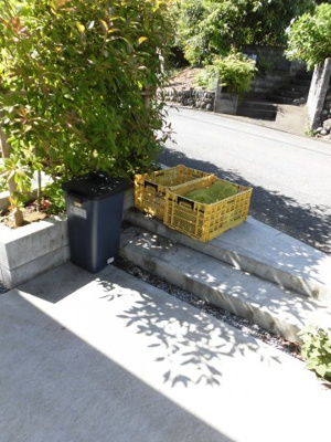 【その他共用部分】 | ハイムしょうぶ園 | ゴミ置場