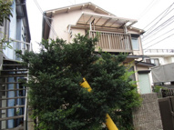 日吉町田中貸家の画像