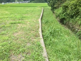 【外観】 | 氷上町沼　売地 | 北側境界付近