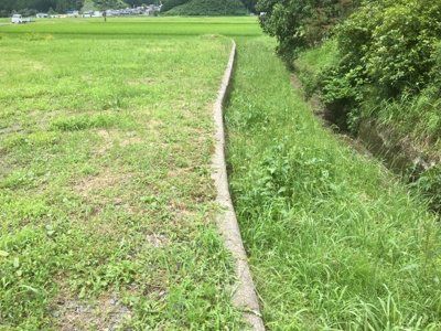 【外観】 | 氷上町沼　売地 | 北側境界付近