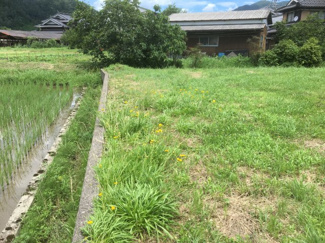 【外観】 | 氷上町沼　売地 | 西側境界付近