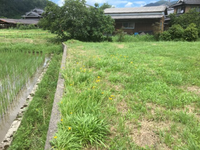【外観】 | 氷上町沼　売地 | 西側境界付近