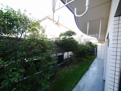 【展望】 | シャローム湘南