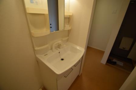 サクセス　ヴァリーの独立洗面台|シャンプードレッサー付きです