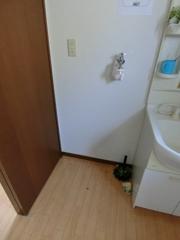 テンダーヴィラB棟の洗面所