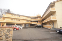 アイビス小絹Ａの画像