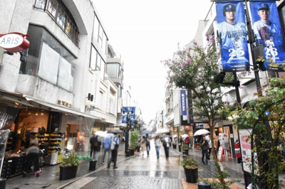 【周辺】 | ラ・スピーガ元町 | 前面道路