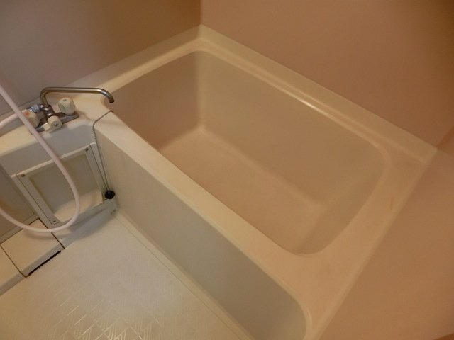 ビスタ神崎川の浴室